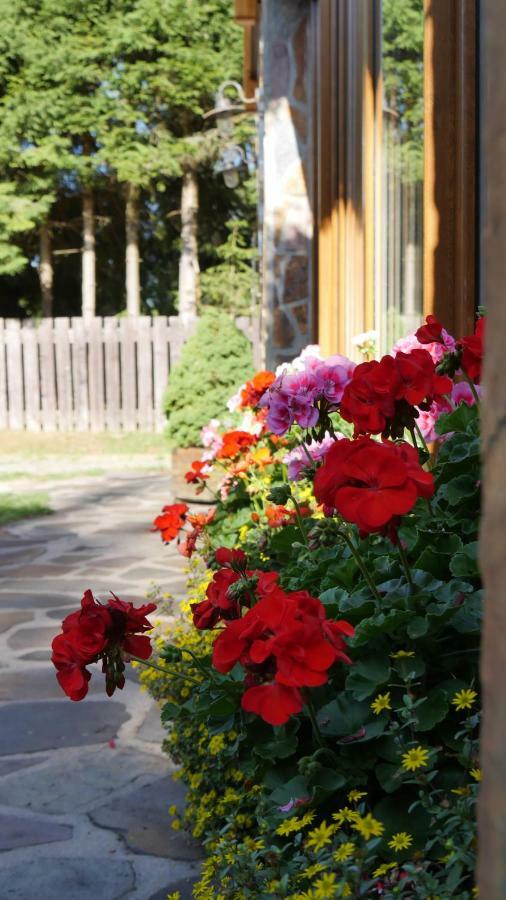 Pension Aspen ハルラホフ エクステリア 写真