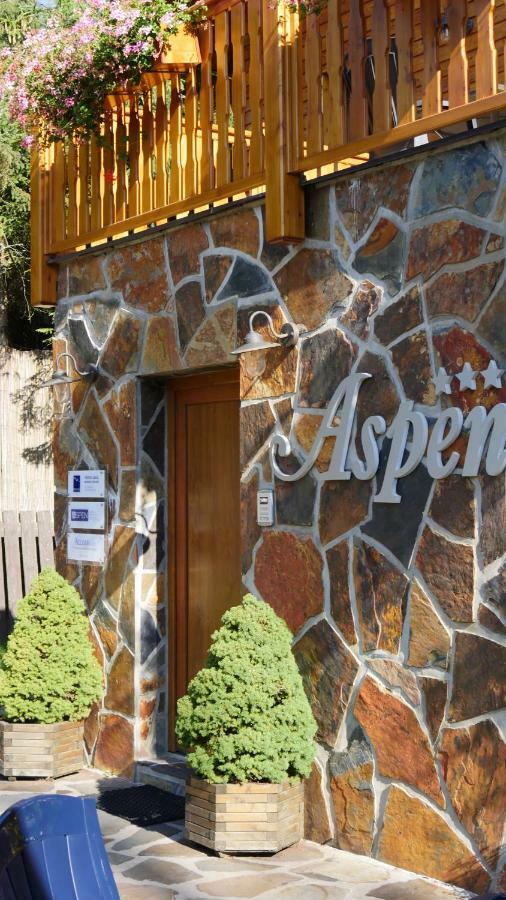 Pension Aspen ハルラホフ エクステリア 写真