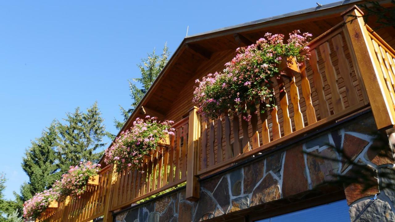 Pension Aspen ハルラホフ エクステリア 写真
